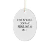 Exotic Shorthair Cat Lovers Gifts from Family, Friends, or Coworkers - Funny Oval Ornament for Christmas Unique Gifts - Image 1